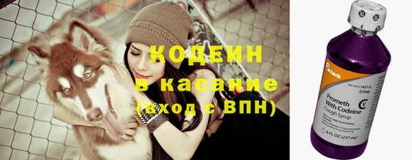 spice Осинники