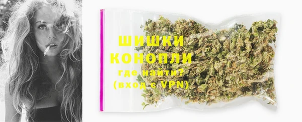 spice Осинники